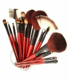 Professional Makeup Brush Set -kit